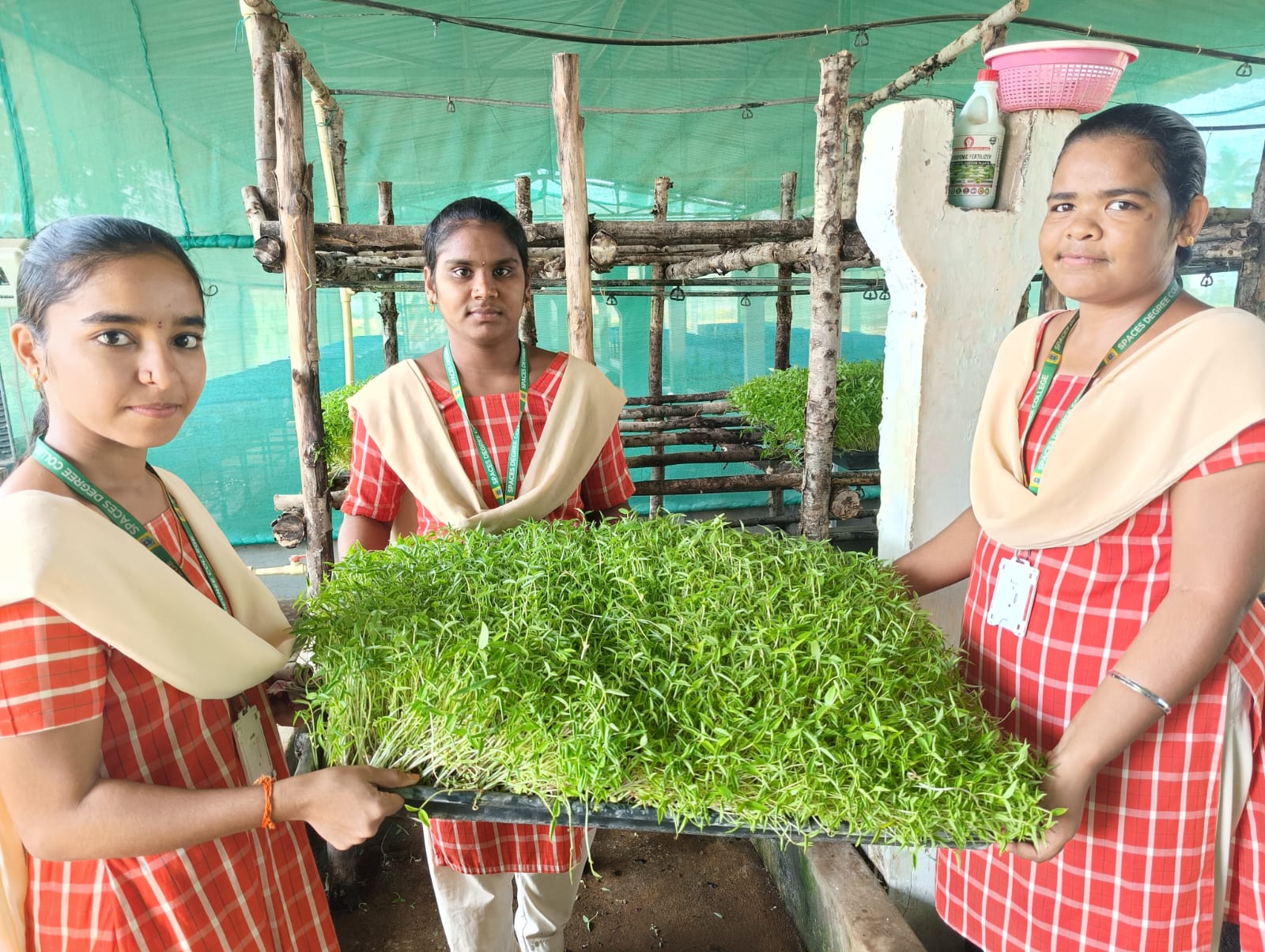 Hydroponics Fodder 2.jpeg